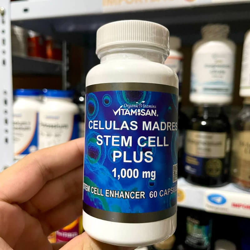 CELULAS MADRE