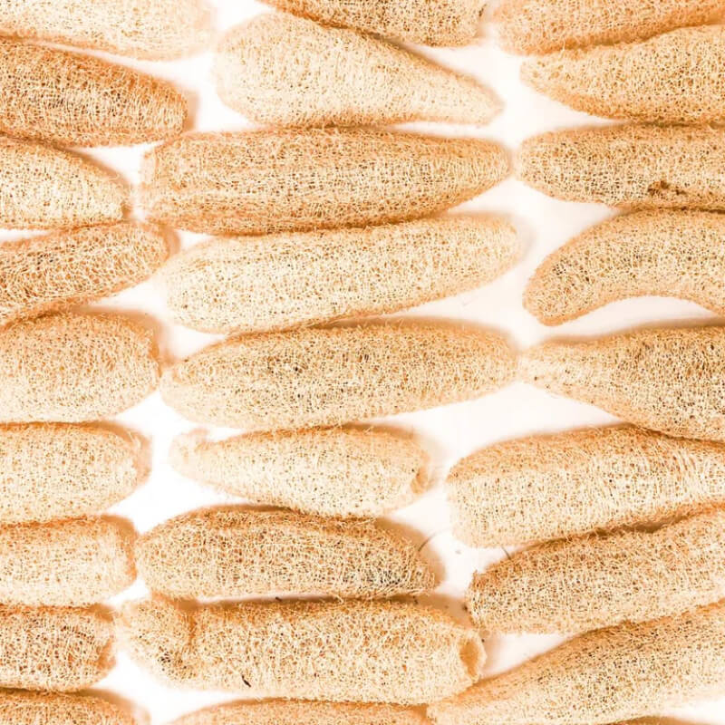 Natural Loofah Sponges Organic Luffa Bath Shower Sponge Exfoliating Body Back Scrubber for Men Women Adults SPA Beauty Bathing Daily Care