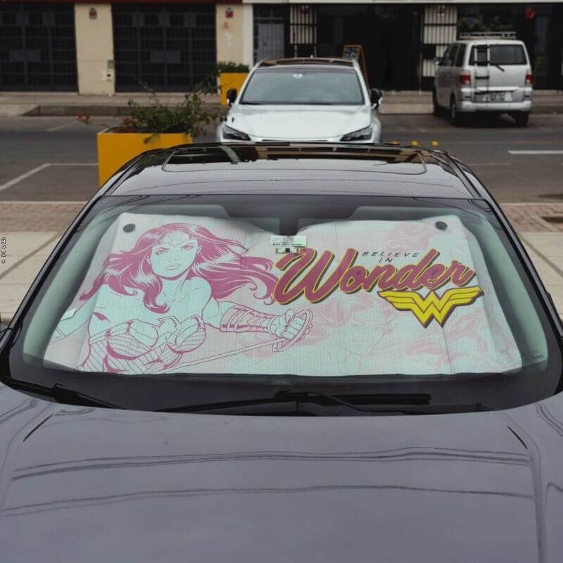 PARASOL PARA AUTO WARNER BROS