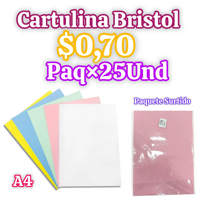 CARTULINA BRISTOL
