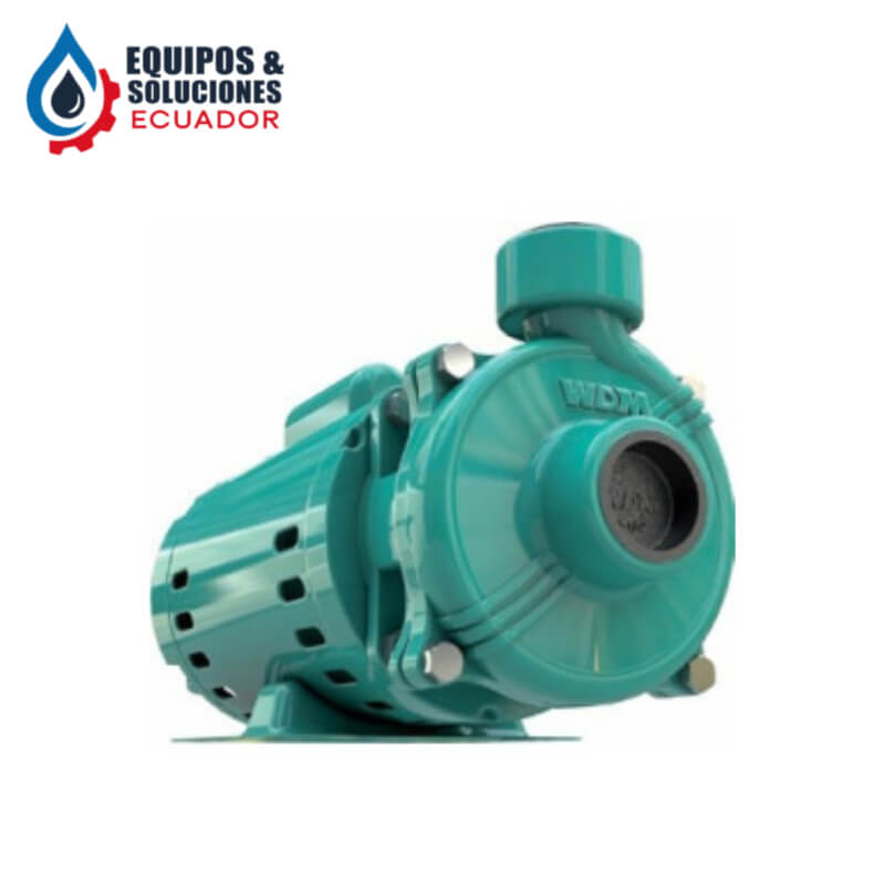 Bomba Centrífuga 1 Hp 1¼ NPT DE 1 10-1 Barnes Hierro Fundido | Equipos & Soluciones Ecuador