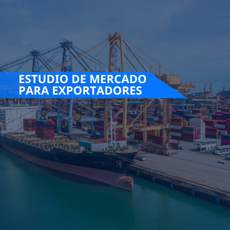 Estudio de Mercado para Exportadores | Inteligencia Empresarial