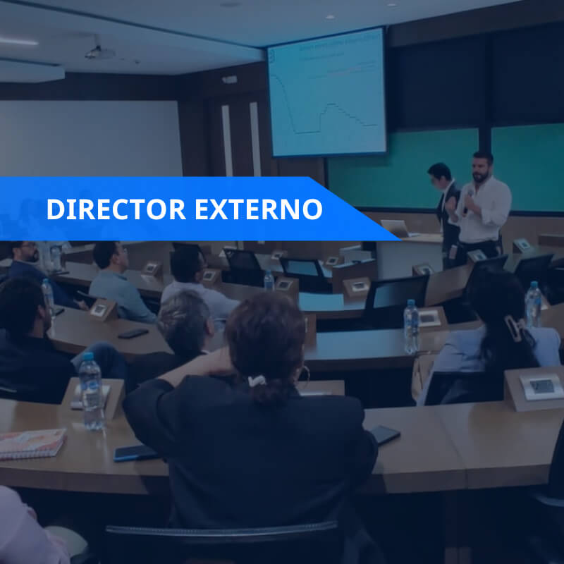 Director Externo | Inteligencia Empresarial