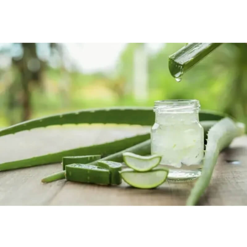Gel Extracto Aloe Vera Puro x Kilo