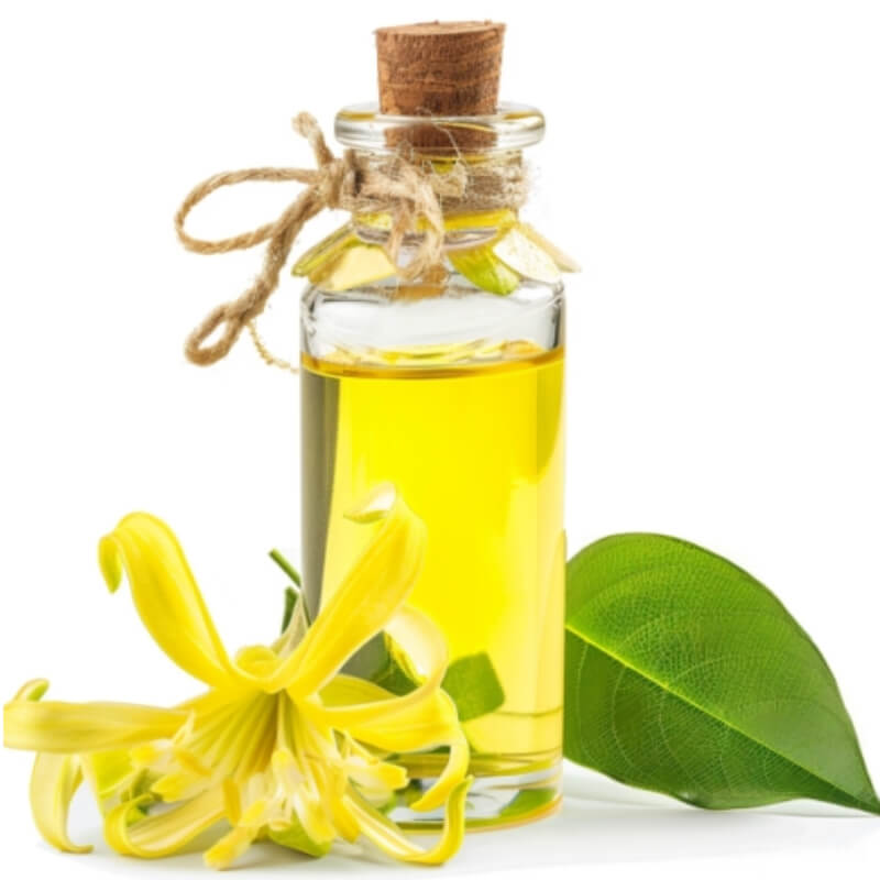 Ylang Ylang x Litro