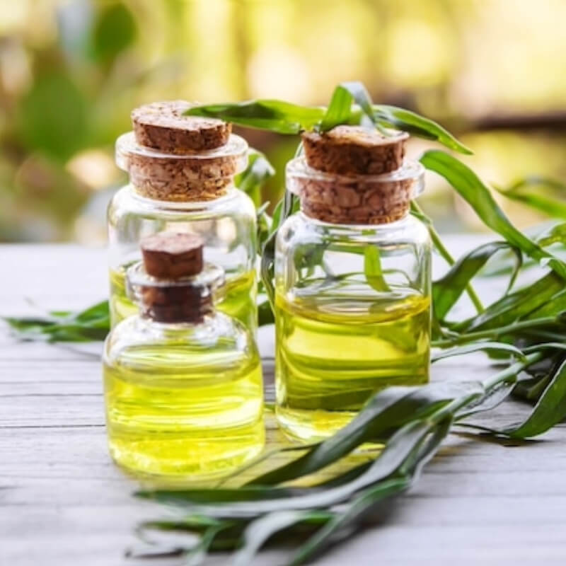 Aceite Esencial Árbol de Té x Litro