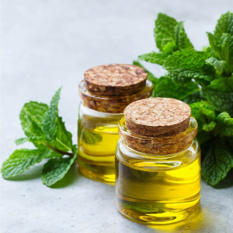 Aceite Esencial de Menta x Litro