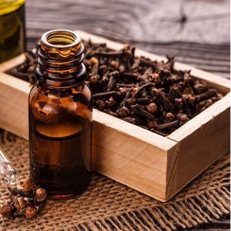 Aceite Esencial de Clavo de Olor x Litro