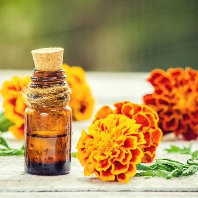 Aceite esencial de Calendula x litro