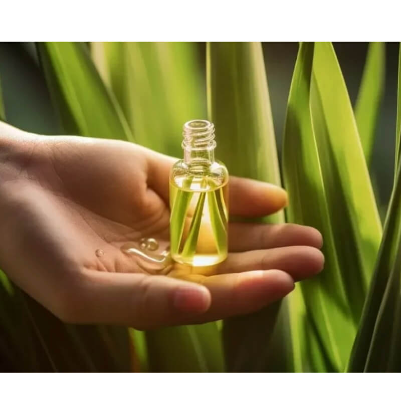 Aceite Esencial de Lemongrass (Hierba Limón) x Litro