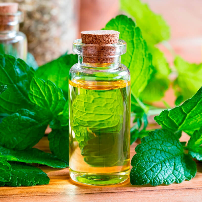 Aceite Esencial de Citronela x Litro