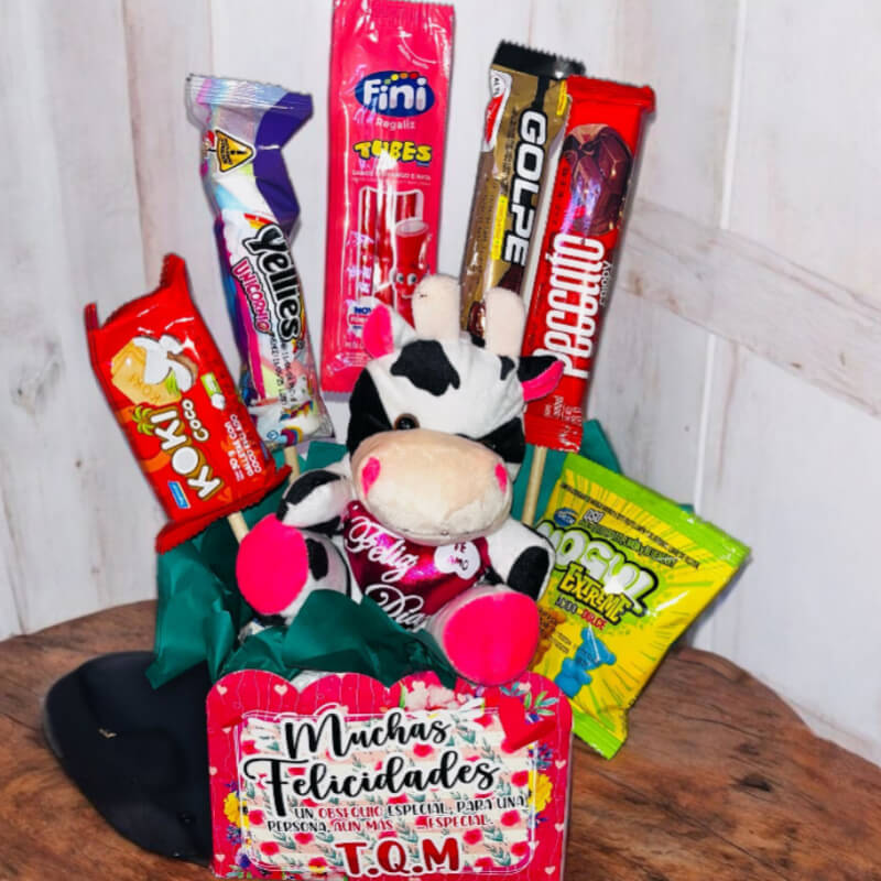 Alegría Peluche y Snacks: Muchas Felicidades en Ibarra