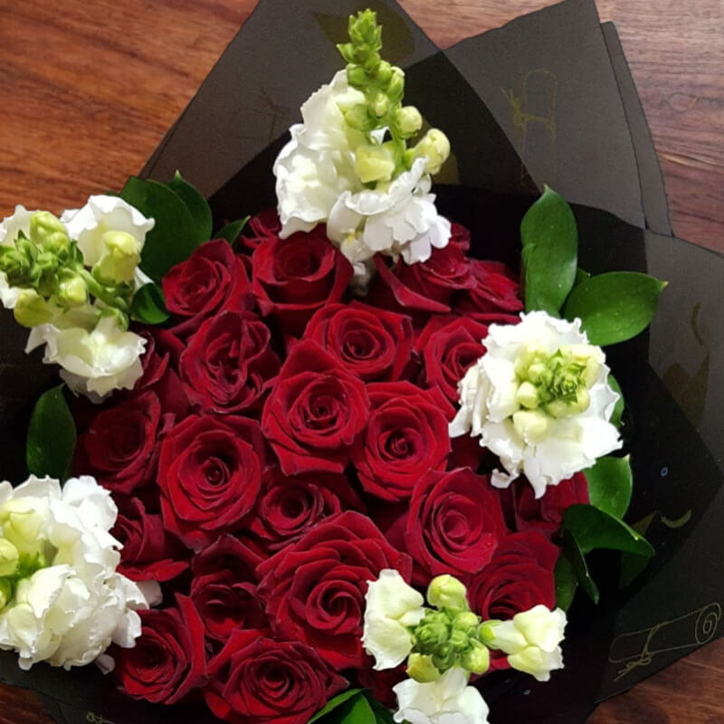 Amor Clásico: Ramo de Rosas Rojas y Bocas de Dragón Blancas en Ibarra