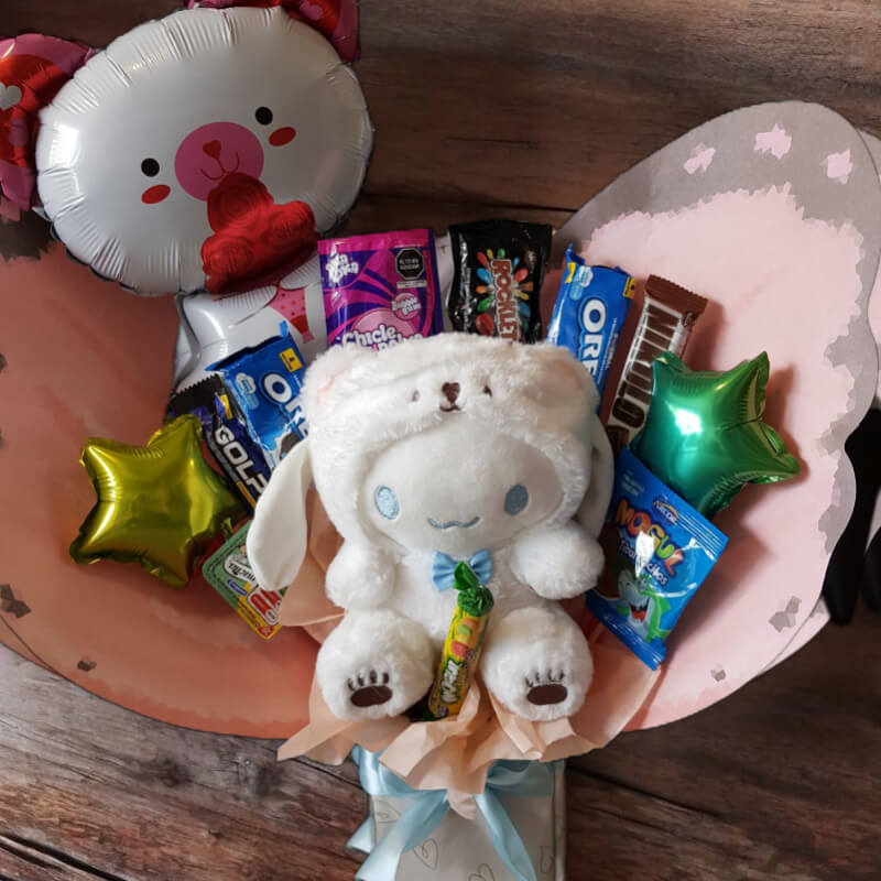 Dulce Amigo Cinnamoroll: Peluche y Snacks en Ibarra