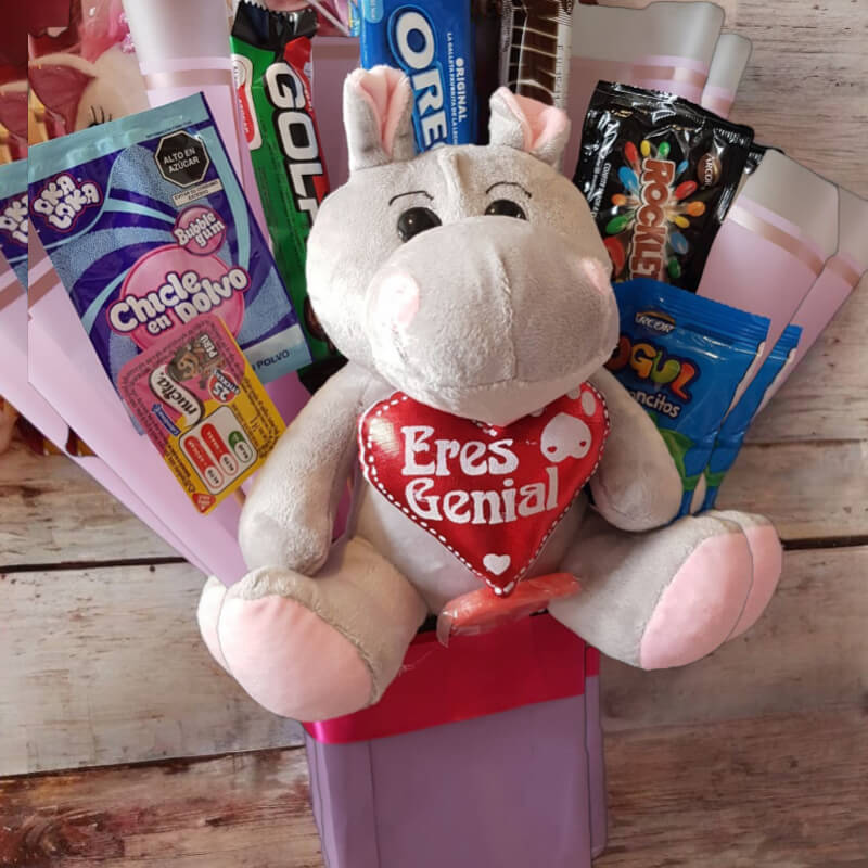 Sorpresa 'Eres Genial': Peluche y Snacks en Ibarra