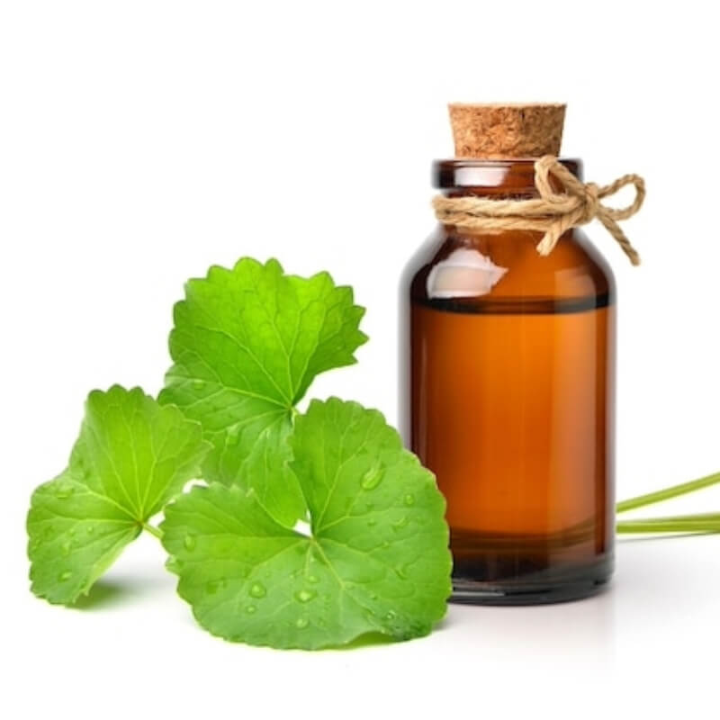 Centella Asiática x Litro