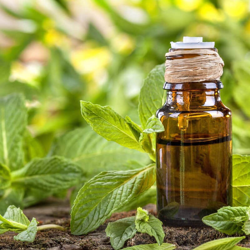 Menta Piperita x Litro