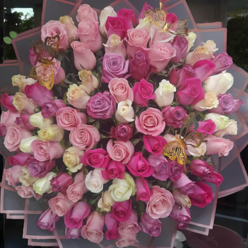 Explosión de Rosas: Tonos Pastel y Fucsia en Ibarra