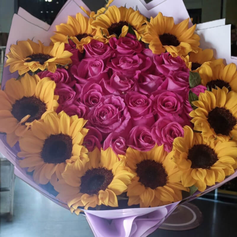Amanecer Fucsia y Sol: Rosas y Girasoles en Ibarra