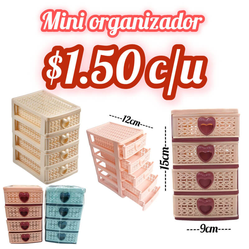 MINI ORGANIZADOR