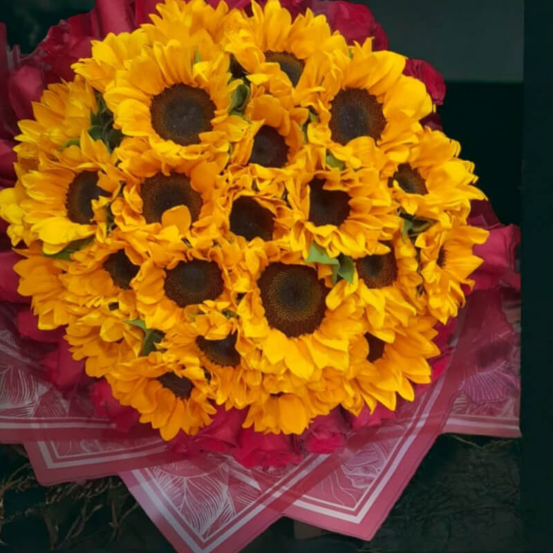 Ramo Rayo de Sol y Pasión: Girasoles y Rosas Rojas en Ibarra