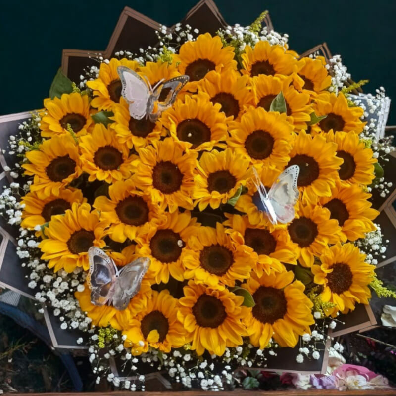 Ramo Girasoles Sol Radiante y Mariposas en Ibarra