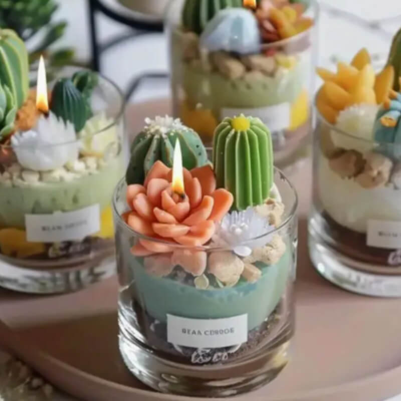 Molde Silicona Suculentas y Cactus