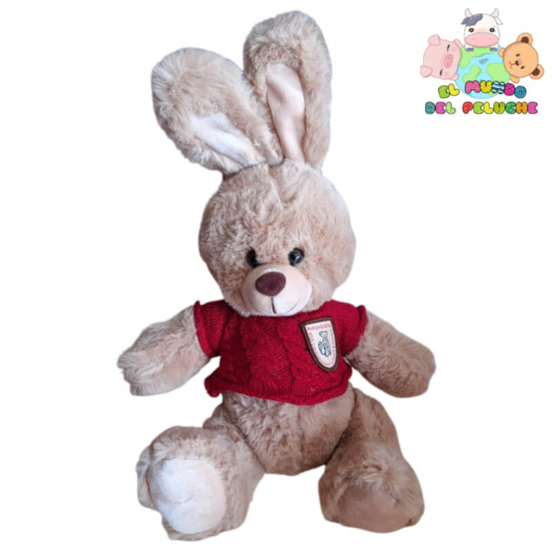 Peluche Conejito #0 | Conejito con suéter tejido | 14 x 20 cm | El Mundo del Peluche