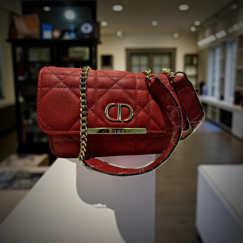 CARTERA PEQUEÑA DIOR