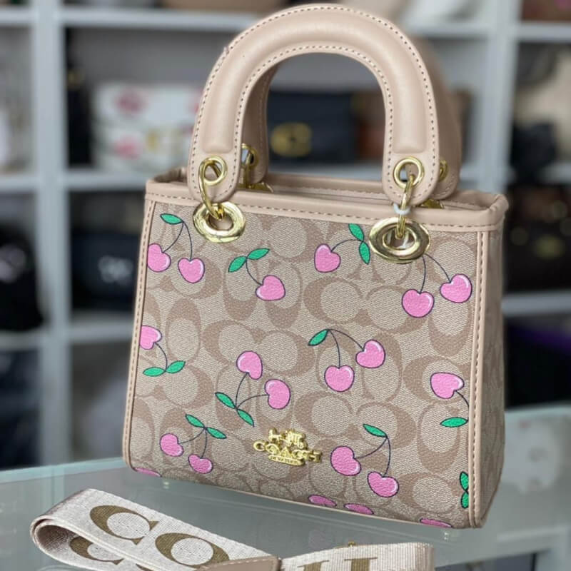 CARTERA PEQUEÑA COACH