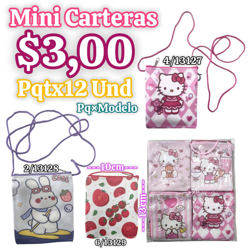 MINI CARTERA