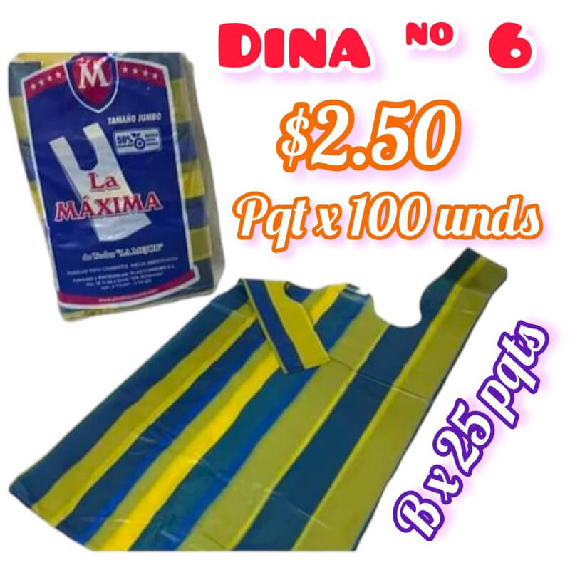 DINA N° 6