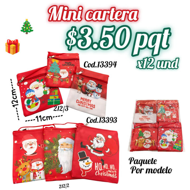 MINI CARTERA