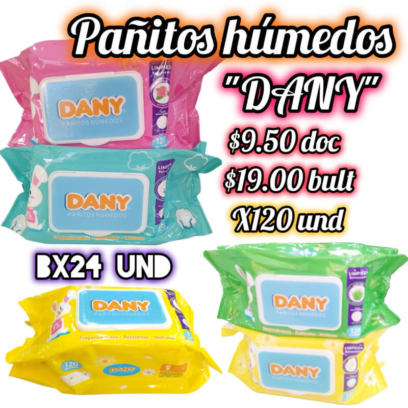 PAÑITOS HUMEDOS DANY X 120 UND