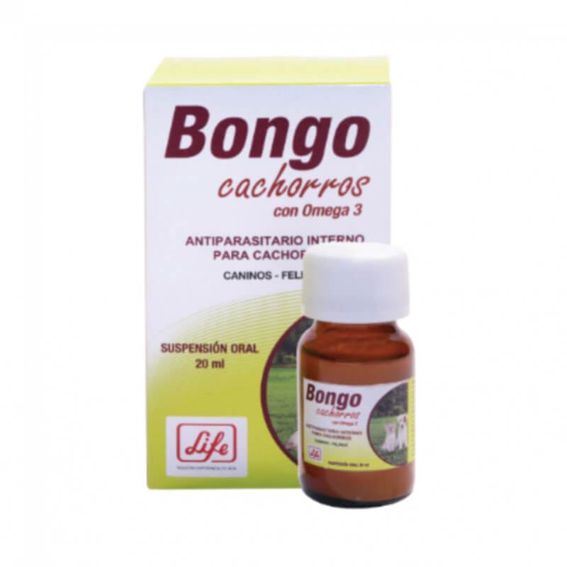 Bongo Cachorros