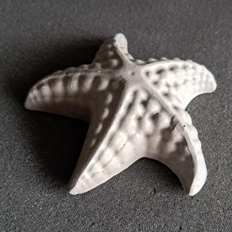 Estrellita de Mar 1 - Piedra Decorativa 3D para Artes y Manualidades
