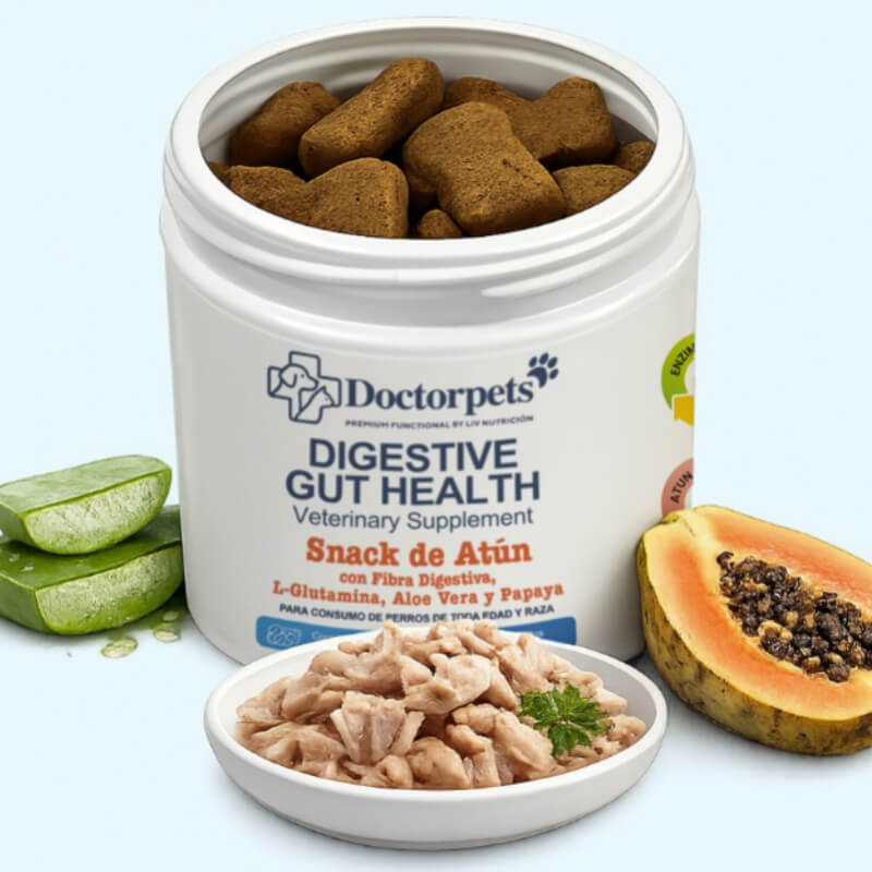 Snack Digestivo para perros - DIGESTIVE GUT HEALTH