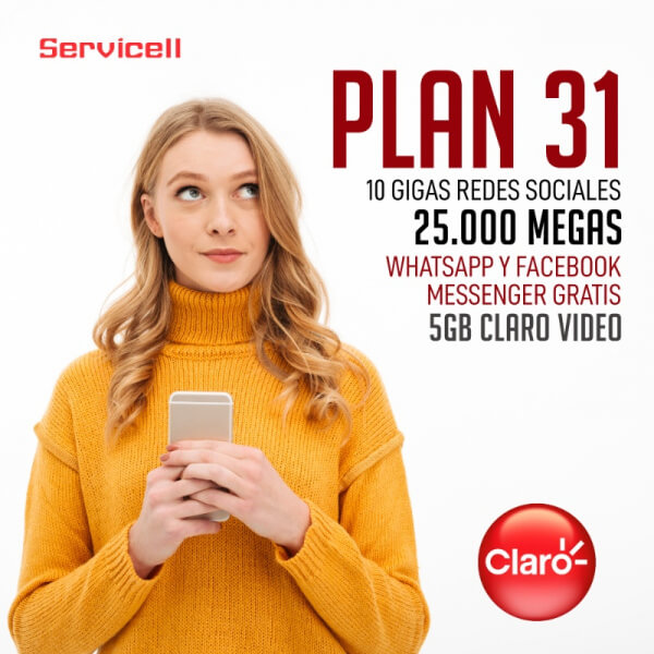PLAN DATOS 31